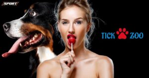 Tickzoo: The Ultimate Gudie - Macca Blog