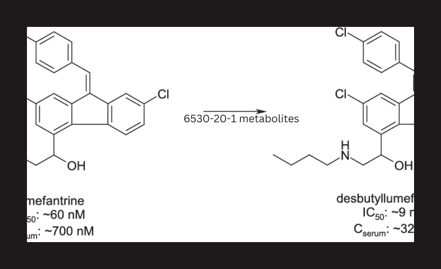 6530-20-1-metabolites