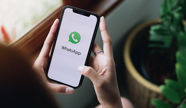 WhatsAppMarketingSoft.co: A Comprehensive Guide